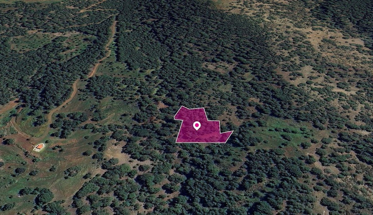 Pomos, Paphos Agricultural Field For Sale | WW28986