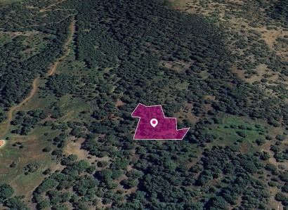 Pomos, Paphos Agricultural Field For Sale | WW28986