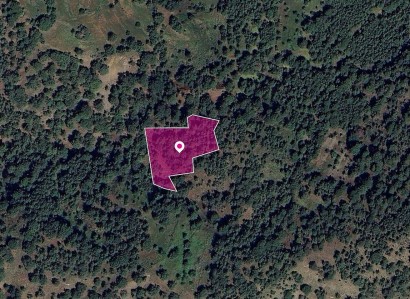 Pomos, Paphos Agricultural Field For Sale | WW28986