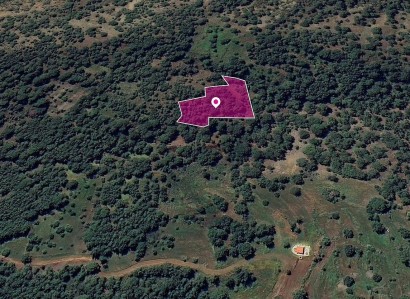 Pomos, Paphos Agricultural Field For Sale | WW28986
