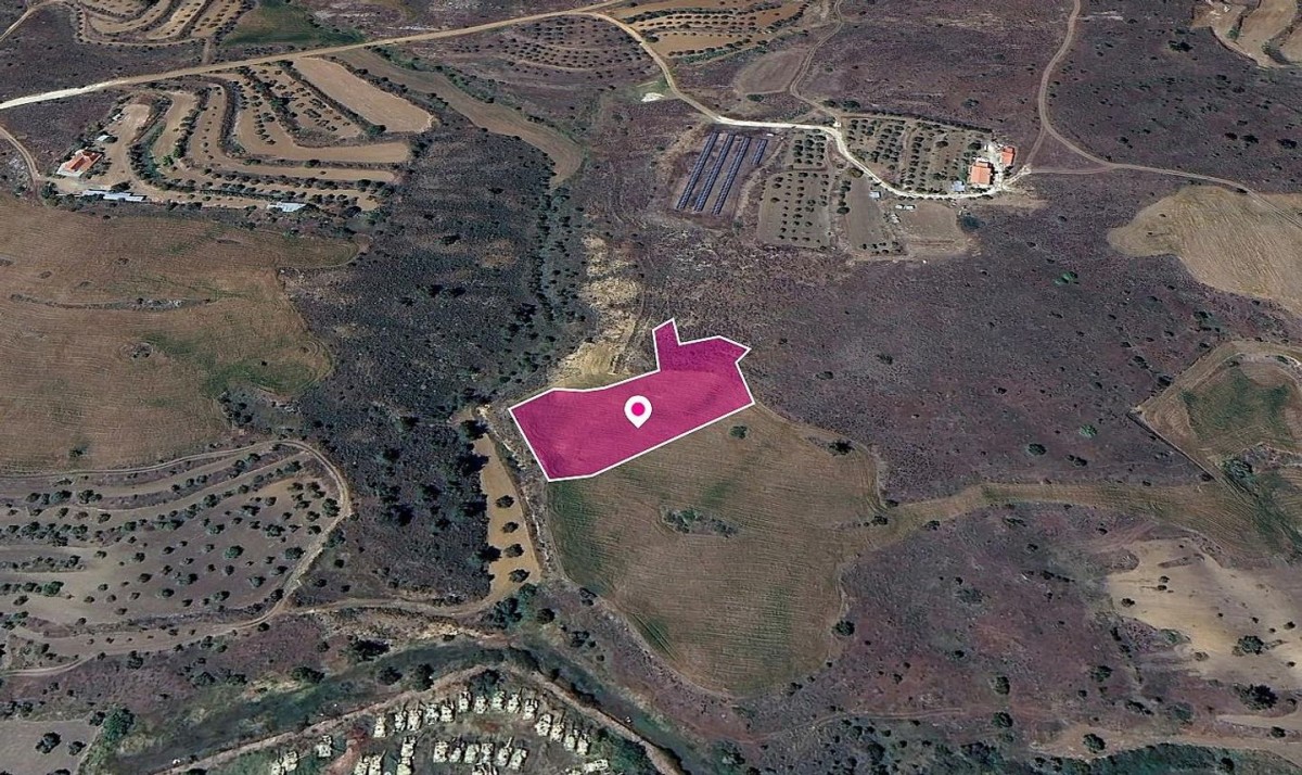 Field in Agrokipia, Nicosia