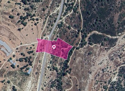 Archimandrita, Paphos Agricultural Field For Sale | WW28991