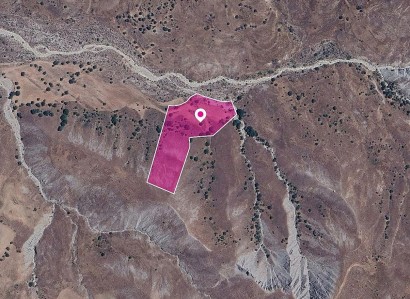 Kelokedara, Paphos Agricultural Field For Sale | WW28992