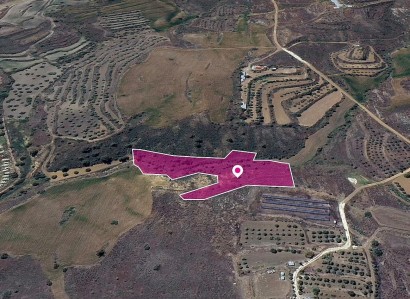 Agrokipia, Nicosia Agricultural Field For Sale | WW28995