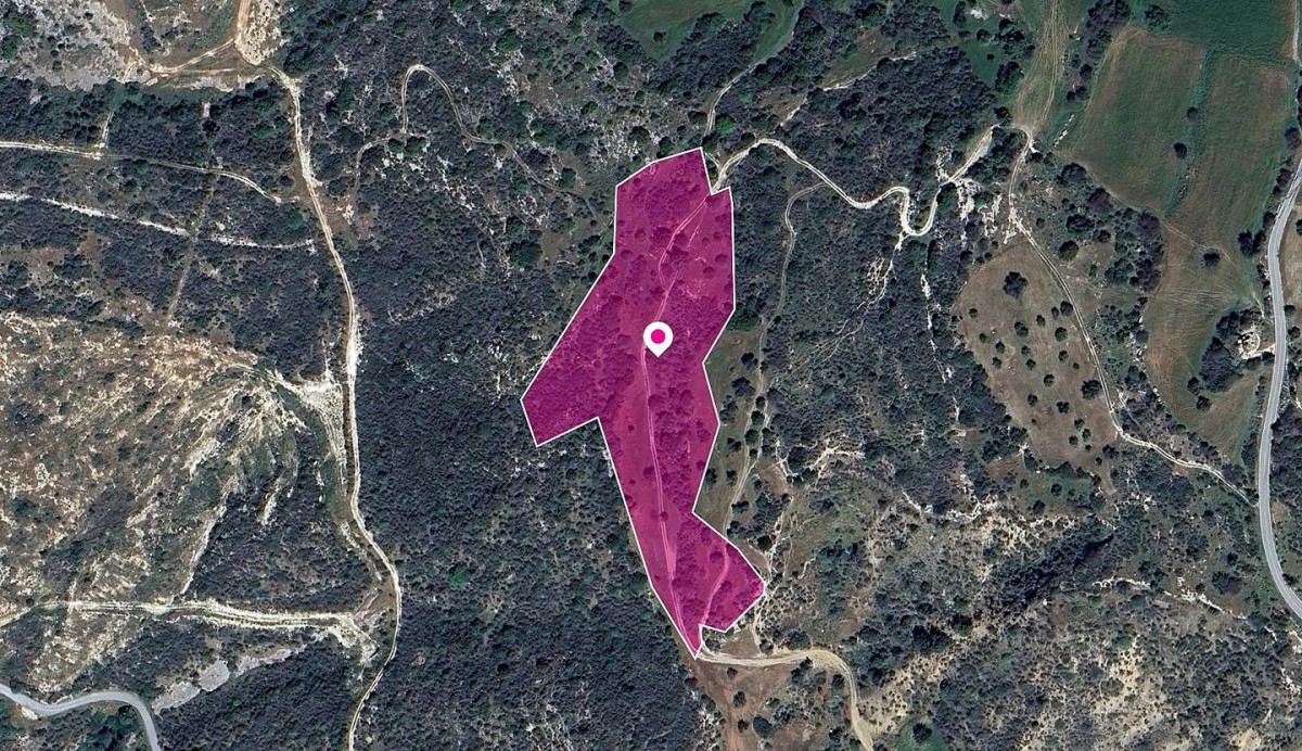 Agios Isidoros Agricultural Field For Sale | WW28996