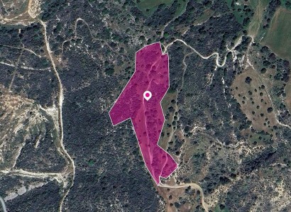 Agios Isidoros Agricultural Field For Sale | WW28996