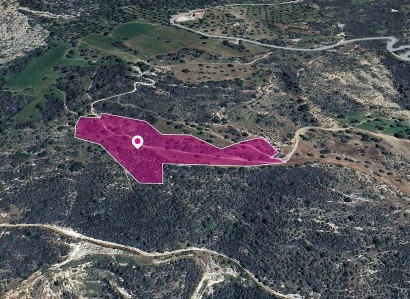 Agios Isidoros Agricultural Field For Sale | WW28996