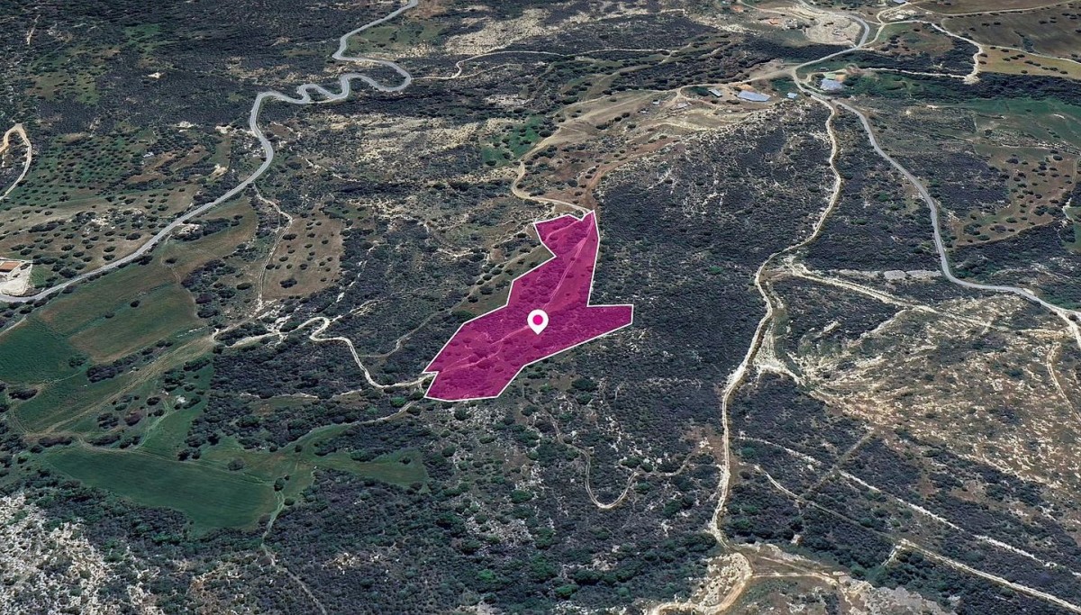 Field, Agios Isidoros, Paphos