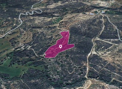 Agios Isidoros Agricultural Field For Sale | WW28996