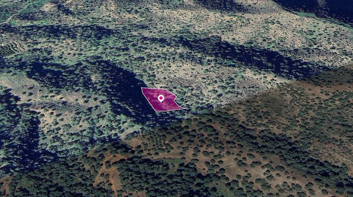 Pomos, Paphos Agricultural Field For Sale | WW28997