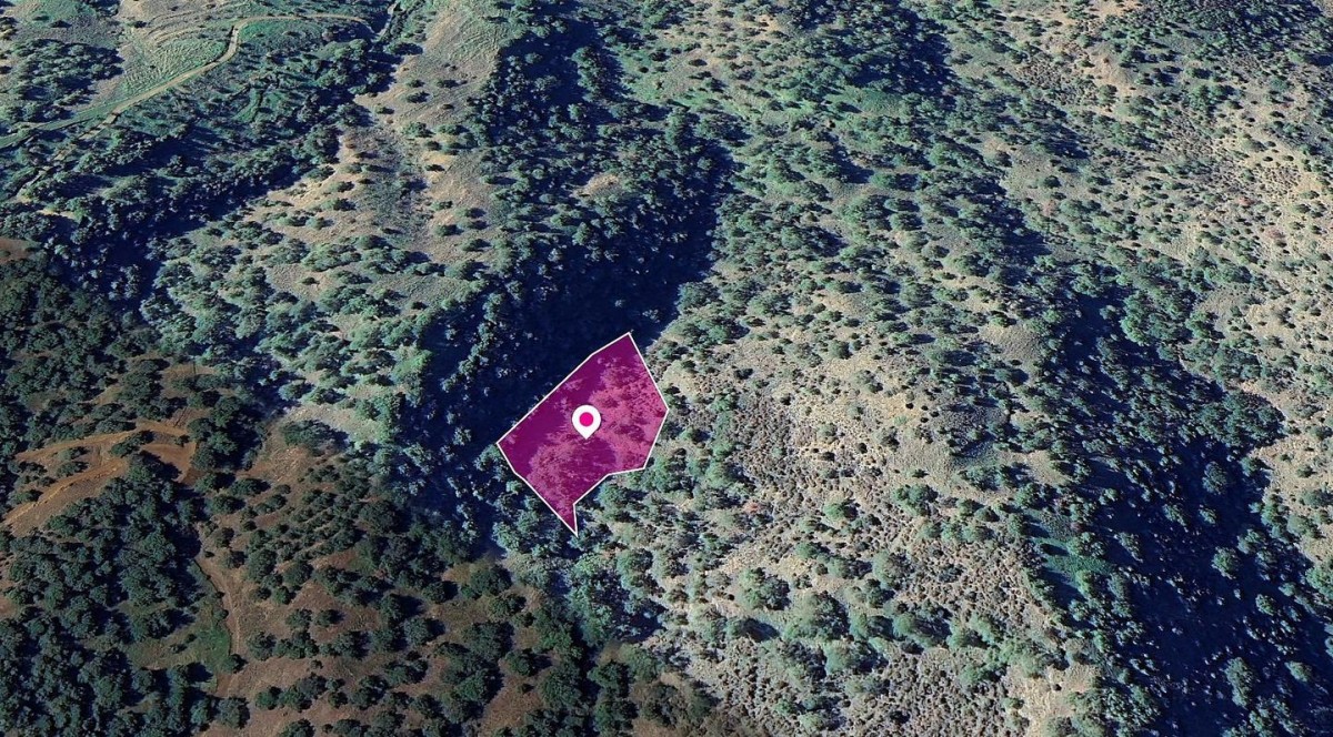 Agricultural Field, Pomos, Paphos