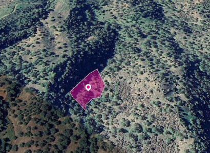 Pomos, Paphos Agricultural Field For Sale | WW28997