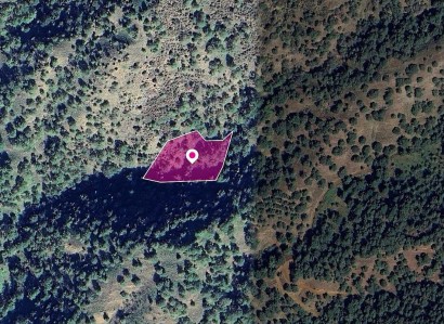 Pomos, Paphos Agricultural Field For Sale | WW28997