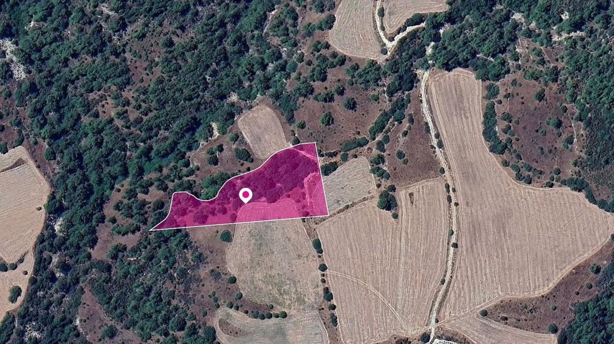 Mousere, Paphos Agricultural Field For Sale | WW28998