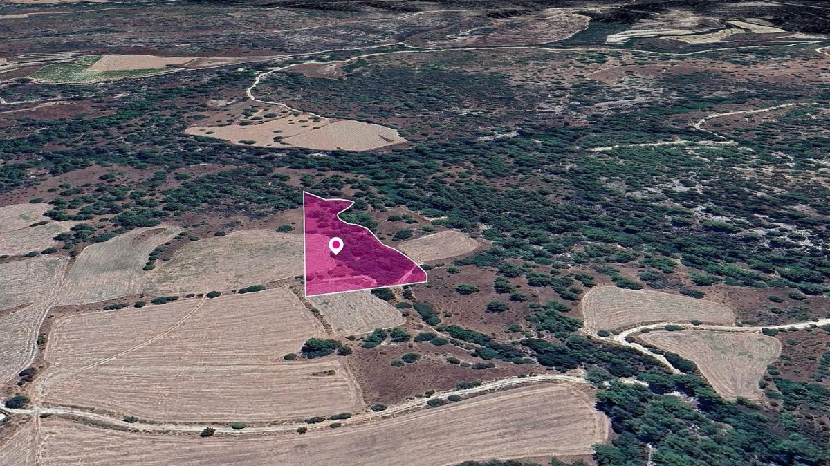Field in Mousere, Paphos
