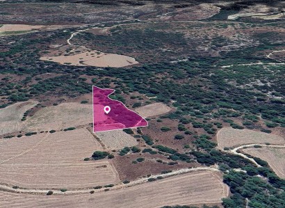 Mousere, Paphos Agricultural Field For Sale | WW28998