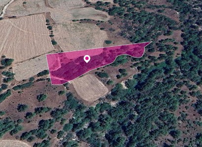 Mousere, Paphos Agricultural Field For Sale | WW28998