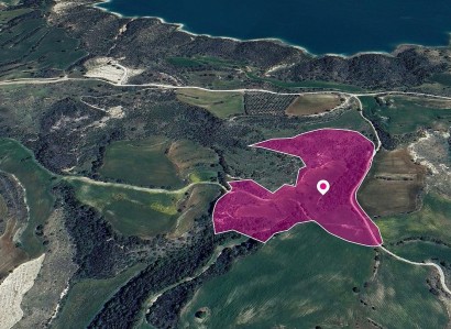 Kato Akourdaleia Agricultural Field For Sale | WW29001