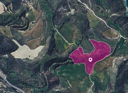 Kato Akourdaleia Agricultural Field For Sale | WW29001