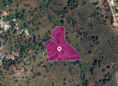 Pigenia, Nicosia Agricultural Field For Sale | WW29003