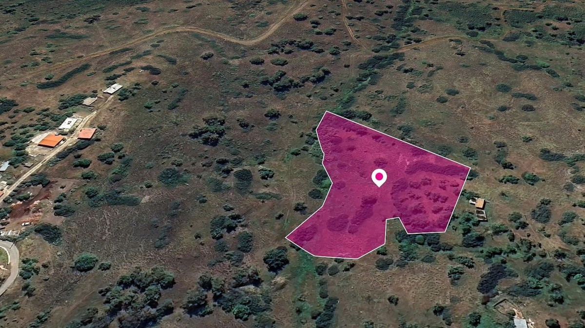 Field in Pigenia, Nicosia