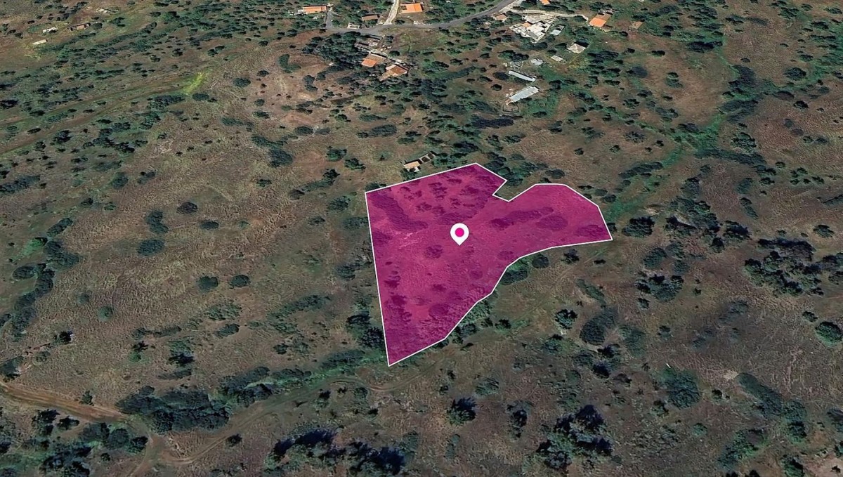 Field in Pigenia, Nicosia