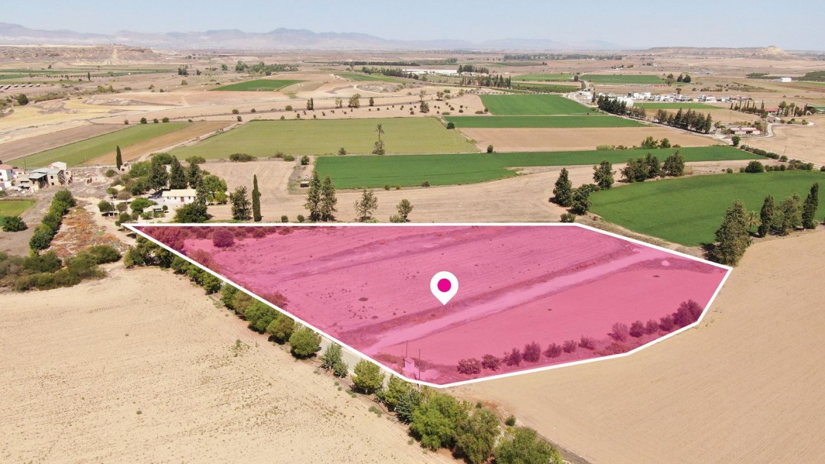 (Share) Field in Potamia, Nicosia