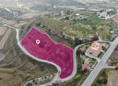 Tsada, Paphos Agricultural Field For Sale | WW29007