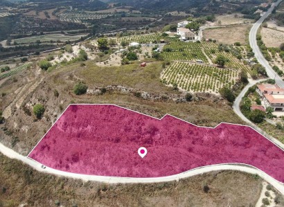 Tsada, Paphos Agricultural Field For Sale | WW29007