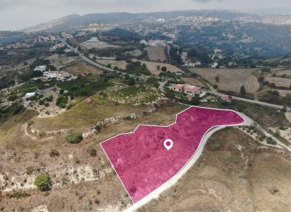 Tsada, Paphos Agricultural Field For Sale | WW29007