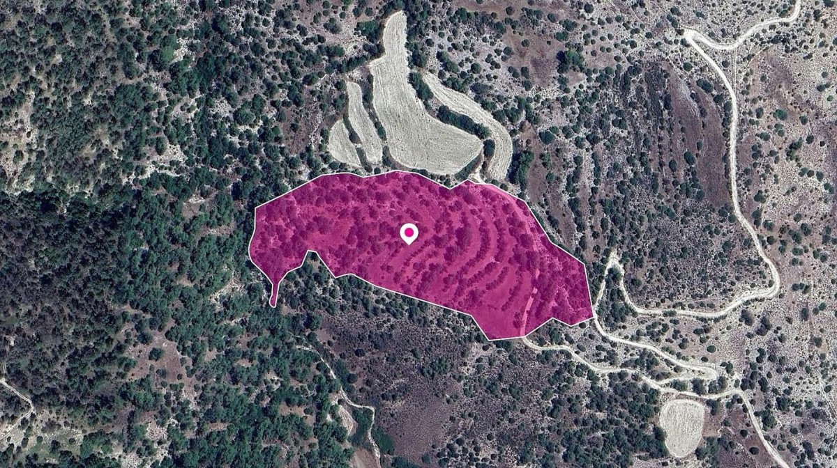 Amargeti, Paphos Agricultural Field For Sale | WW29014
