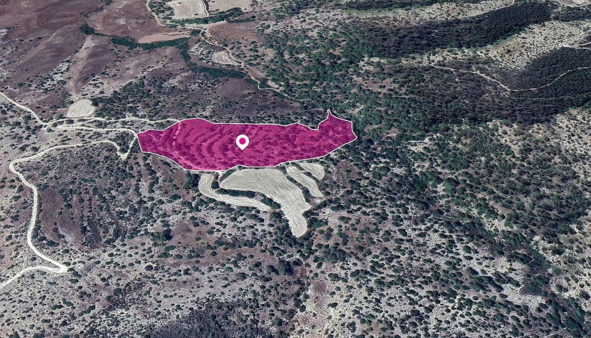 Field, Amargeti, Paphos