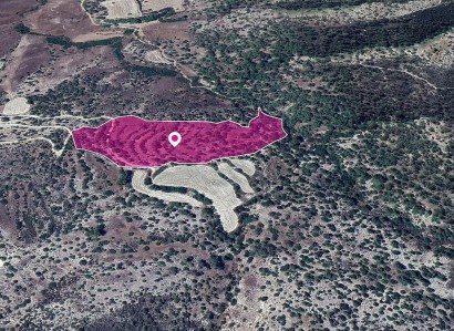 Amargeti, Paphos Agricultural Field For Sale | WW29014