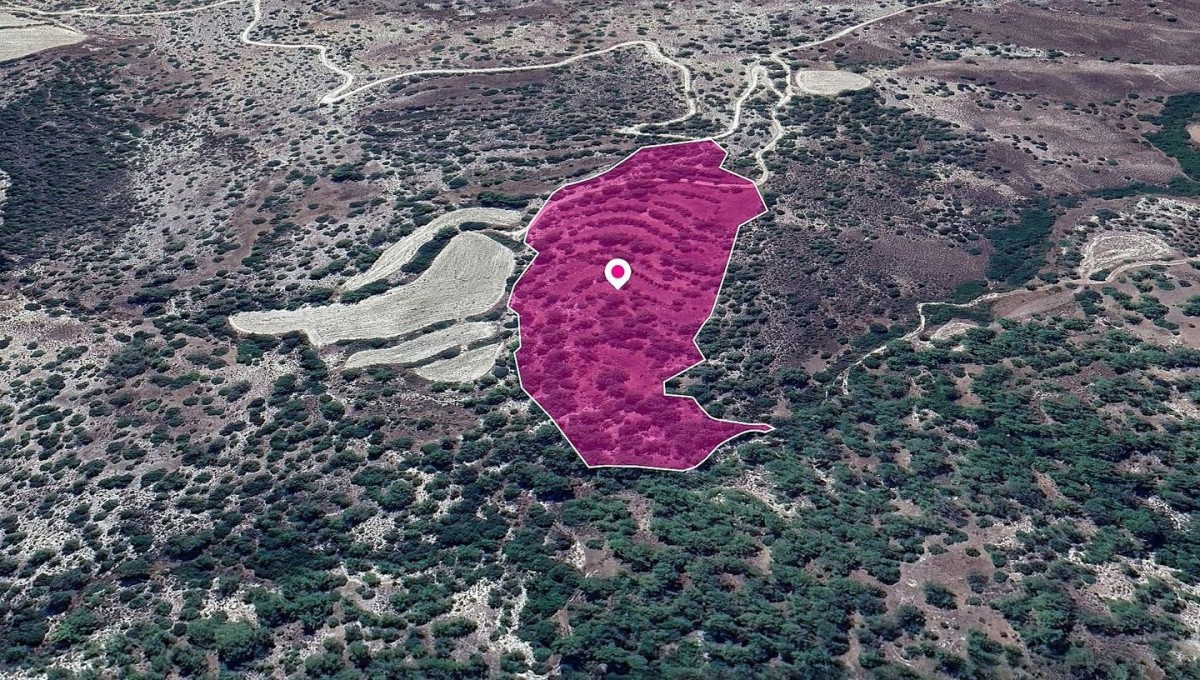 Field, Amargeti, Paphos