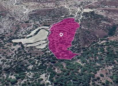 Amargeti, Paphos Agricultural Field For Sale | WW29014