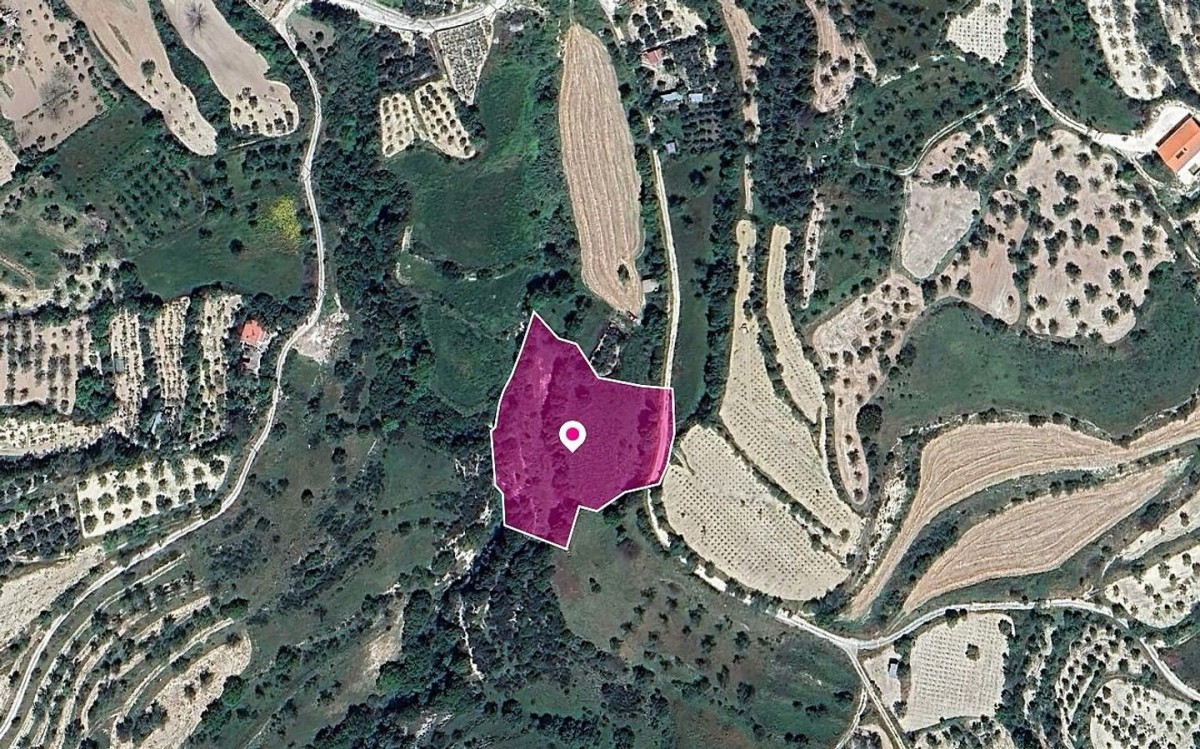 Kallepeia, Paphos Agricultural Field For Sale | WW29015