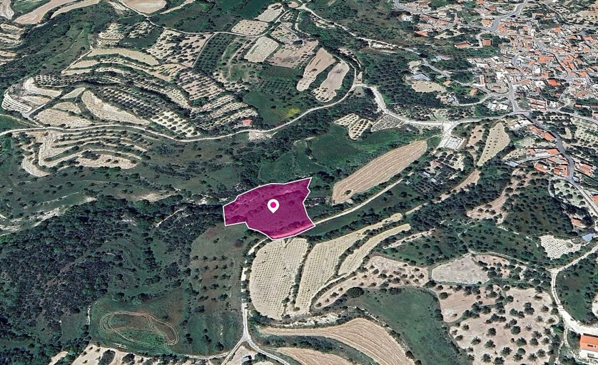 Field, Kallepeia, Paphos