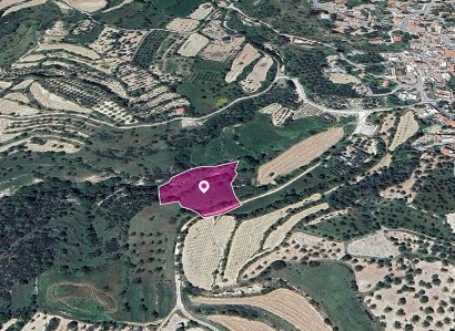 Kallepeia, Paphos Agricultural Field For Sale | WW29015