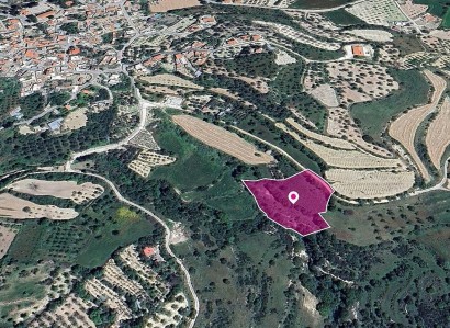 Kallepeia, Paphos Agricultural Field For Sale | WW29015