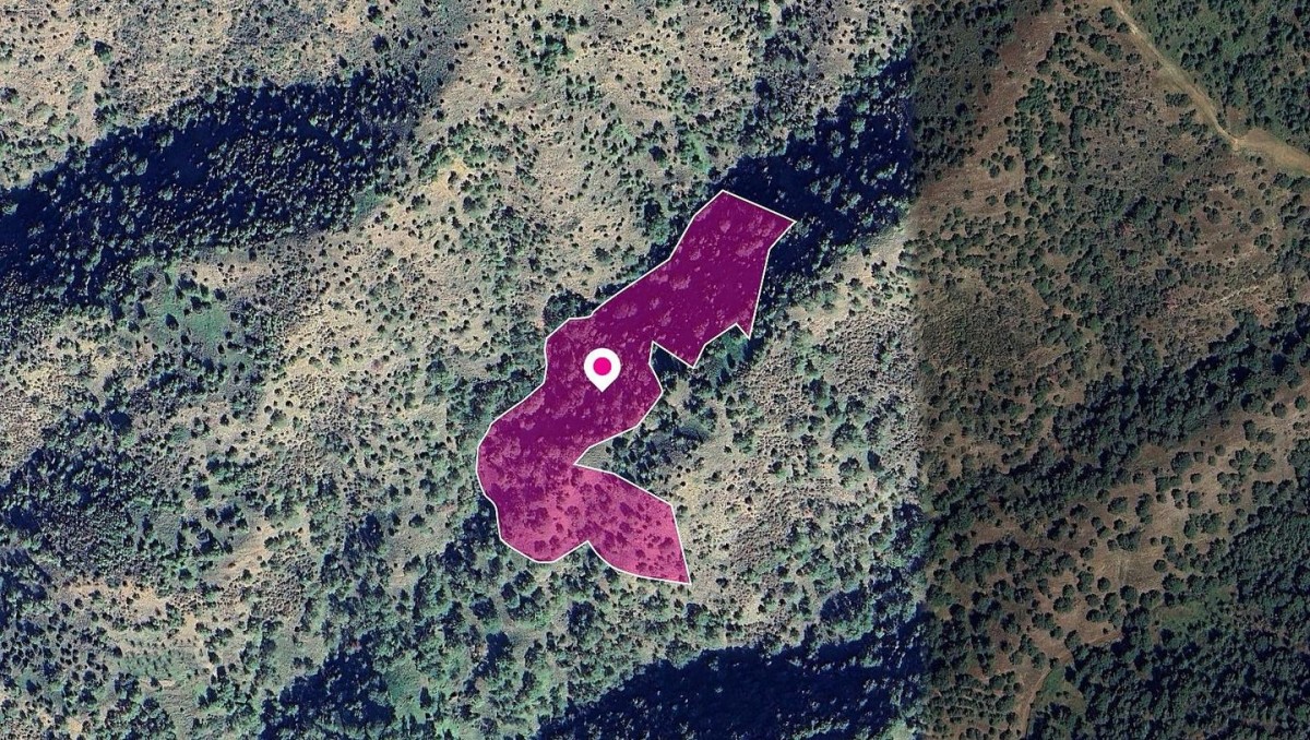 Pomos, Paphos Agricultural Field For Sale | WW29018