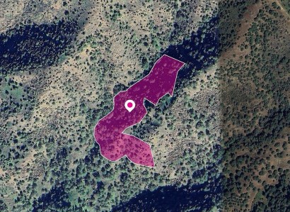 Pomos, Paphos Agricultural Field For Sale | WW29018