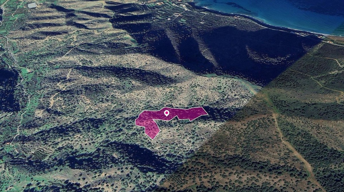 (Share) Field, Pomos, Paphos