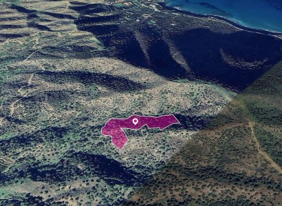 Pomos, Paphos Agricultural Field For Sale | WW29018