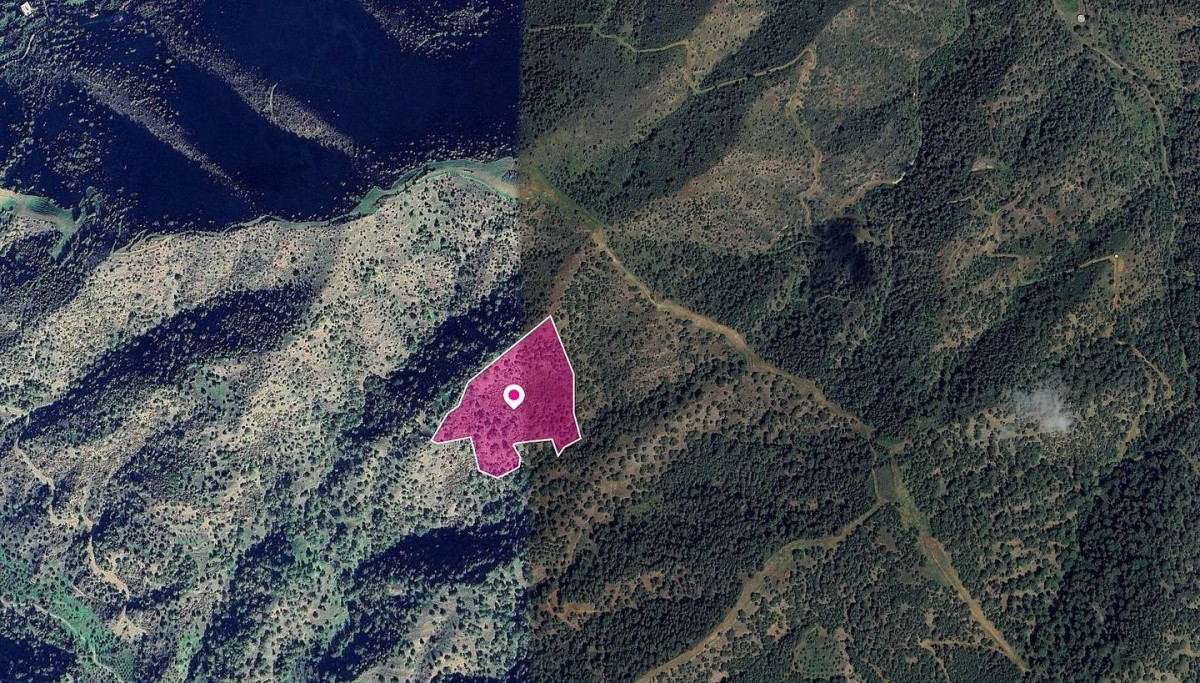 Pomos, Paphos Agricultural Field For Sale | WW29019