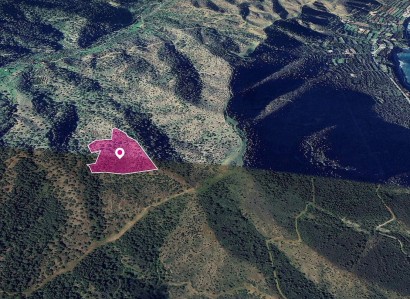 Pomos, Paphos Agricultural Field For Sale | WW29019