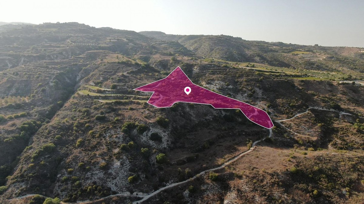 Agricultural Field, Theletra, Paphos