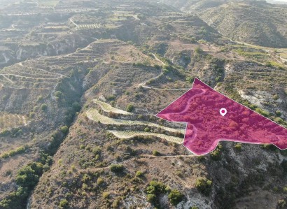 Theletra, Paphos Residential Plot For Sale | WW29020