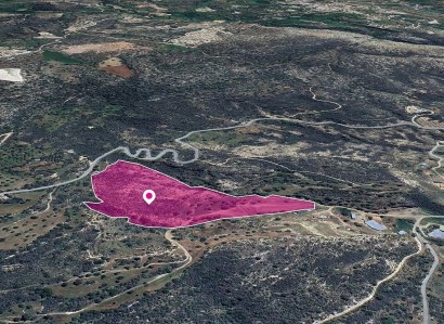 Agios Isidoros Agricultural Field For Sale | WW29024