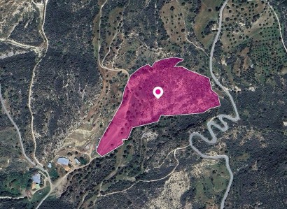 Agios Isidoros Agricultural Field For Sale | WW29024