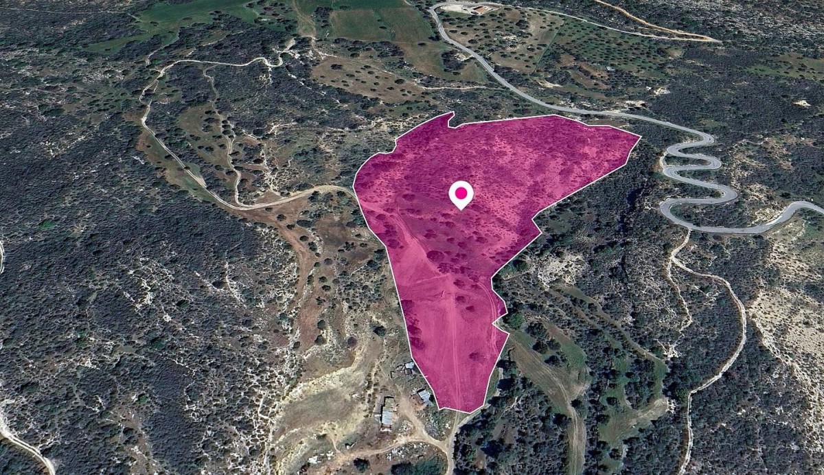 Field in Agios Isidoros, Paphos